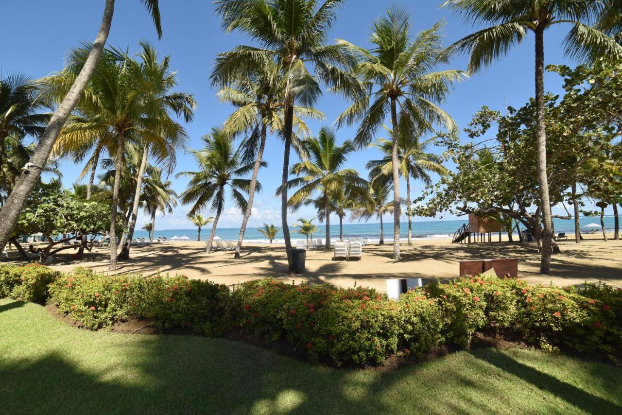 Cabarete Palm Beach Condos Bagian luar foto